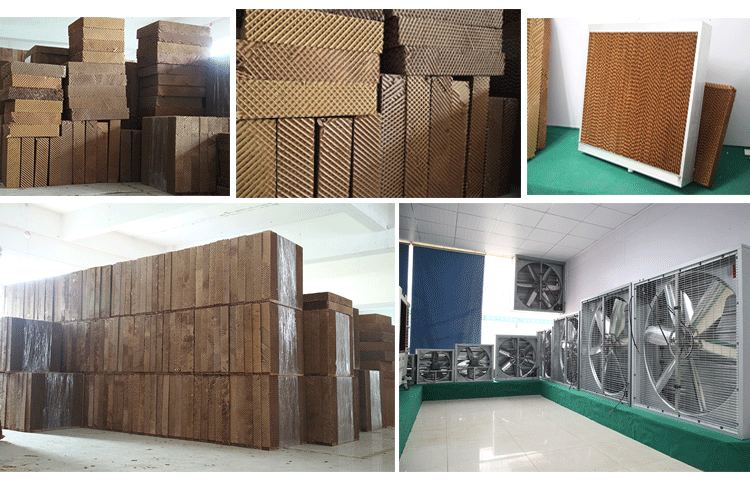 ��̩ˮ���L(f��ng)�C(j��)�}��һ��