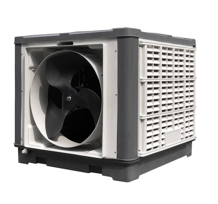 ���L�C���S