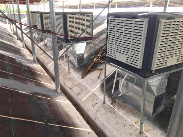 �S��܇�g����ͨ�L