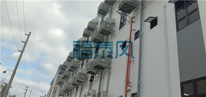 �S������ͨ�L(f��ng)-��̩��Q�ߜؐ���܇�g��(w��n)�}