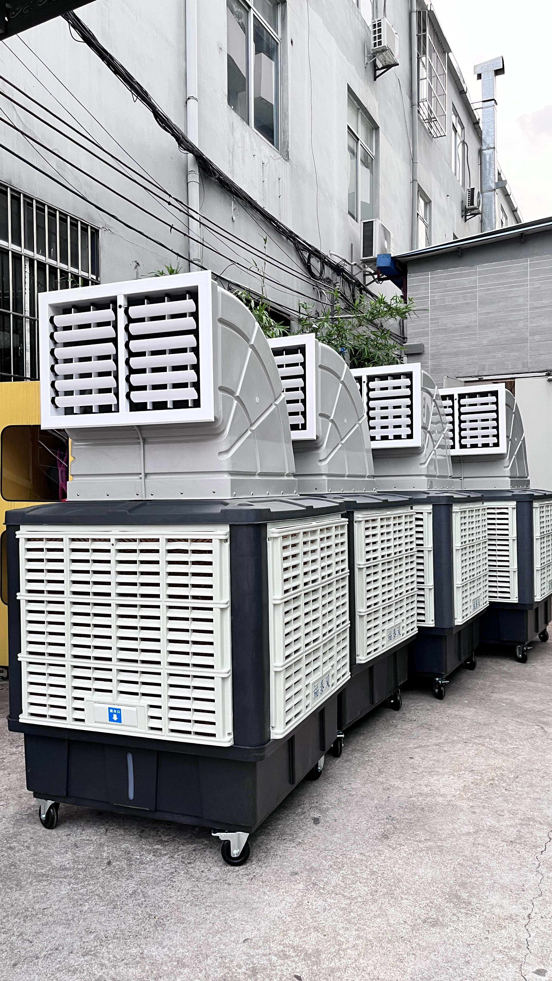 �Ƅ����L�C