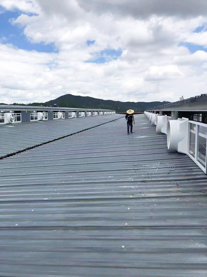 ؓ(f��)���L(f��ng)�C(j��)